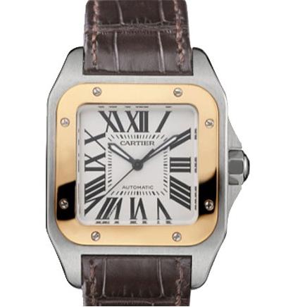 Cartier Santos-100 W20107X7 Ladies Stainless Steel Automatic Watch Cartier Santos-100 W20107X7 Ladies Stainless Steel Automatic Watch