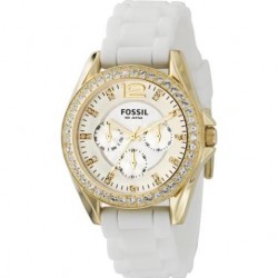 Fossil Riley Gold Tone Multifunction Watch